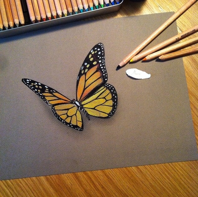 Butterfly