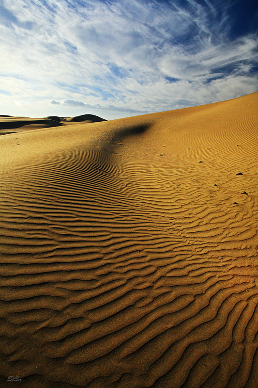 Dunas de Maspalomas ii