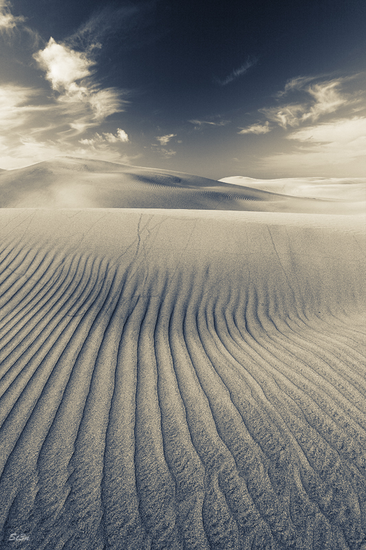 Dunas de Maspalomas v