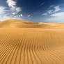 Dunas de Maspalomas xi