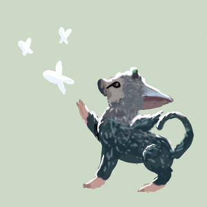 Baby Trico Playing with Butterflies