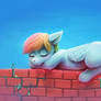 On the Fence