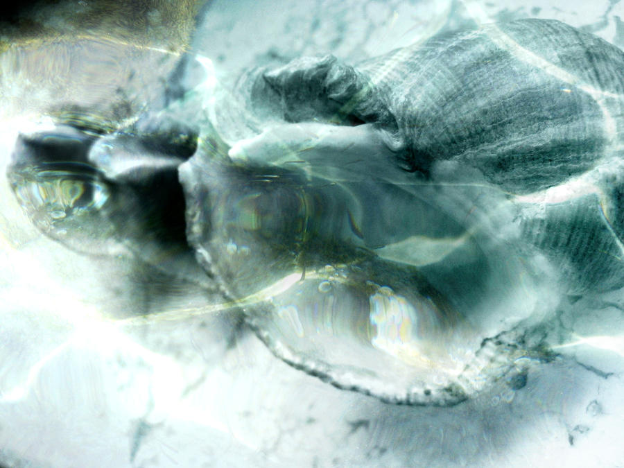 Underwater Shells by LukaAkaLena on DeviantArt
