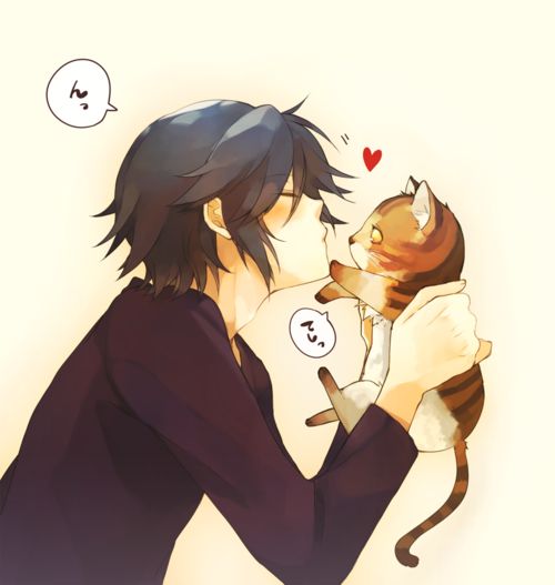 ᴱᴰᵀ ᴮᵞ: ᴬᴺᴳᵁˢ Anime cat boy, Cute anime guys, Anime girl cute