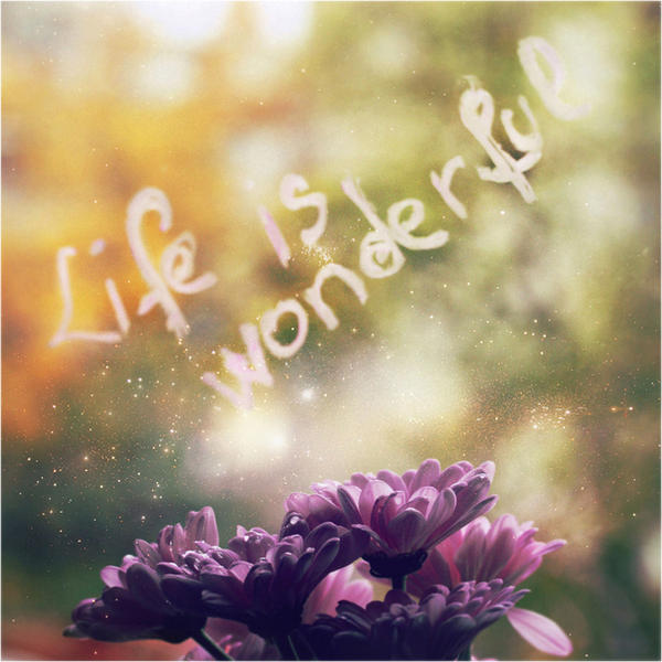 Life is wonderful