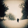 Dreams in Ashes