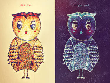 day owl-night owl