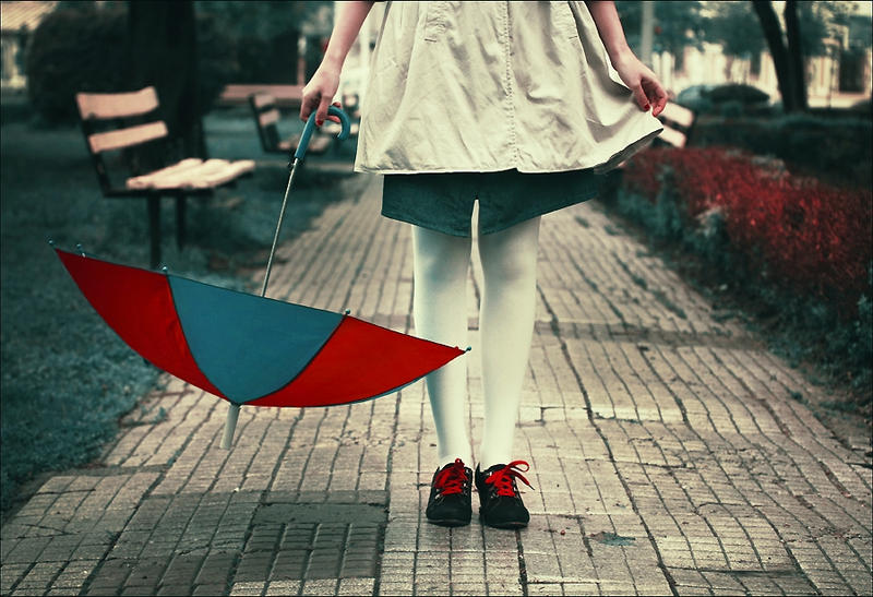 Harlequin Rain