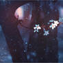 A Cherry Winter - Wallpaper