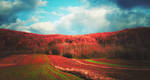 Homeland by iNeedChemicalX