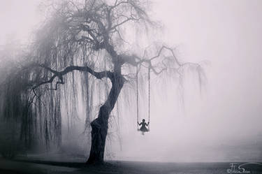 The Weeping Willow II