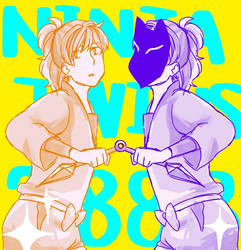 Ninja Twins 2888