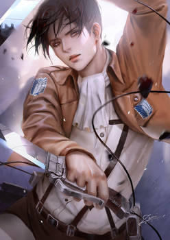 Levi