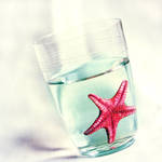 Meet the sea by iTaylie