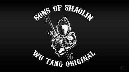 Sons of Shaolin Poster