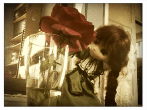 Suiseiseki and the Rose