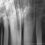 PHASE No. 1 - 10x10 Inch Fine Art Print