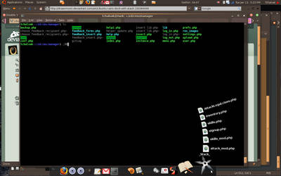 Ubuntu cairo-dock with stack