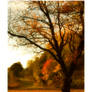 fall