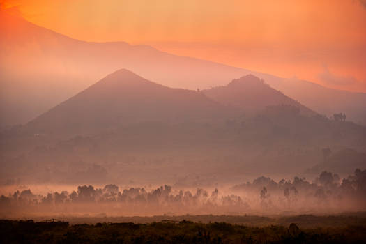 Virunga, Kongo DRC