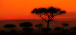 My Africa 21 by catman-suha