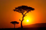 My Africa 45 by catman-suha