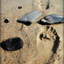 footprint in the sand