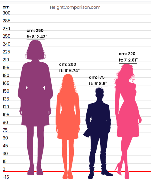 Height Comparison Chart by BeautifulTallWomen on DeviantArt