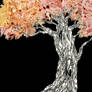acer japonicum