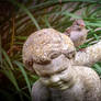 Bird On A Statue