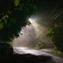After The Rain