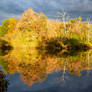 Fall Reflection