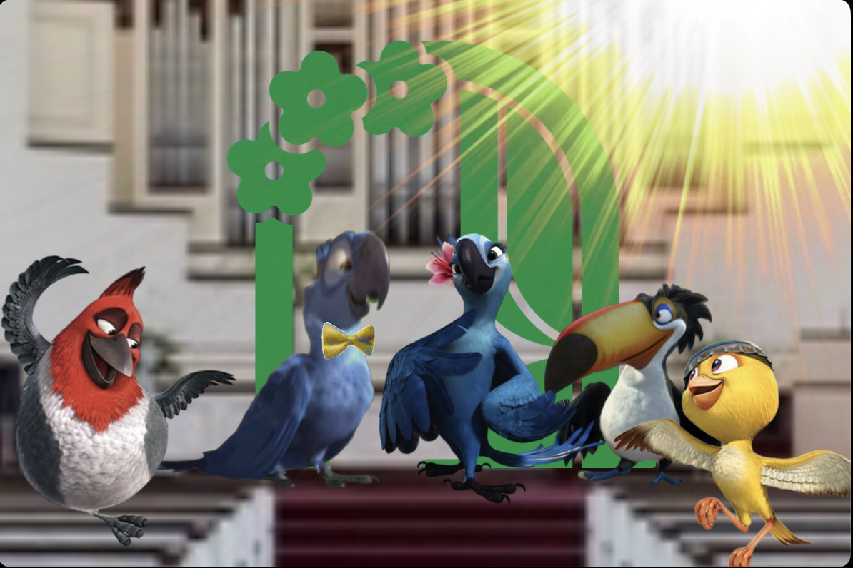 Rio Movie Blu And Jewel