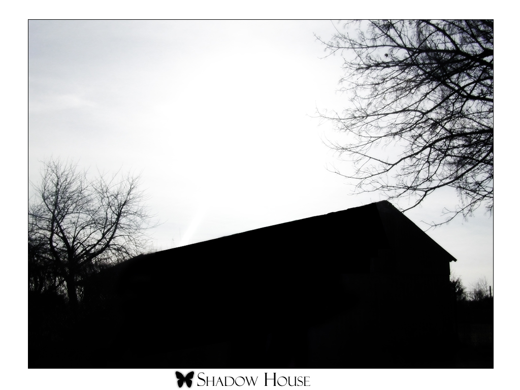 Shadow House