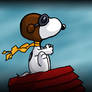 Snoopy rough