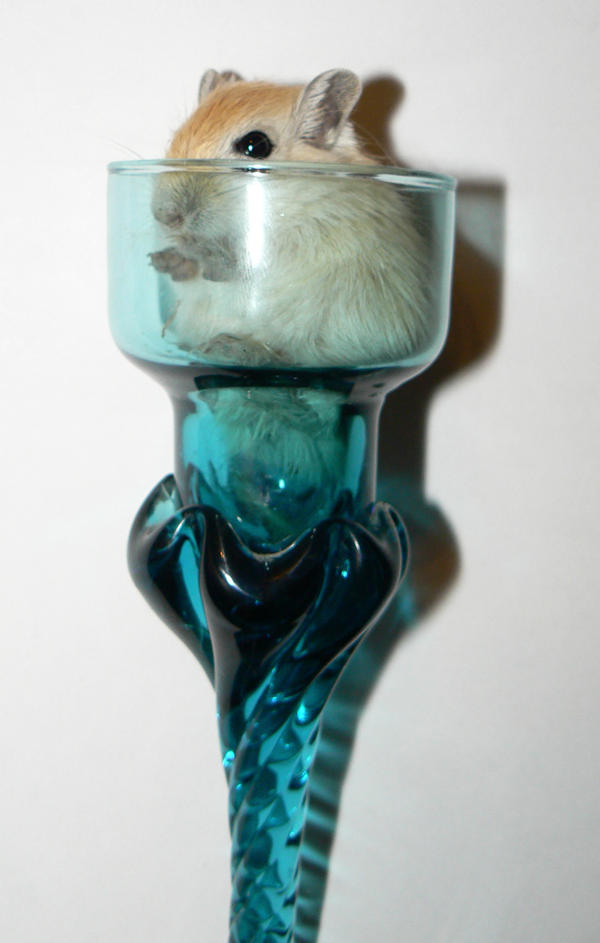 Gerbil Candle 2 by ShadedRain on DeviantArt