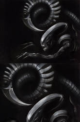 Xenomorph