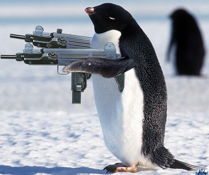 Pengin with Guns