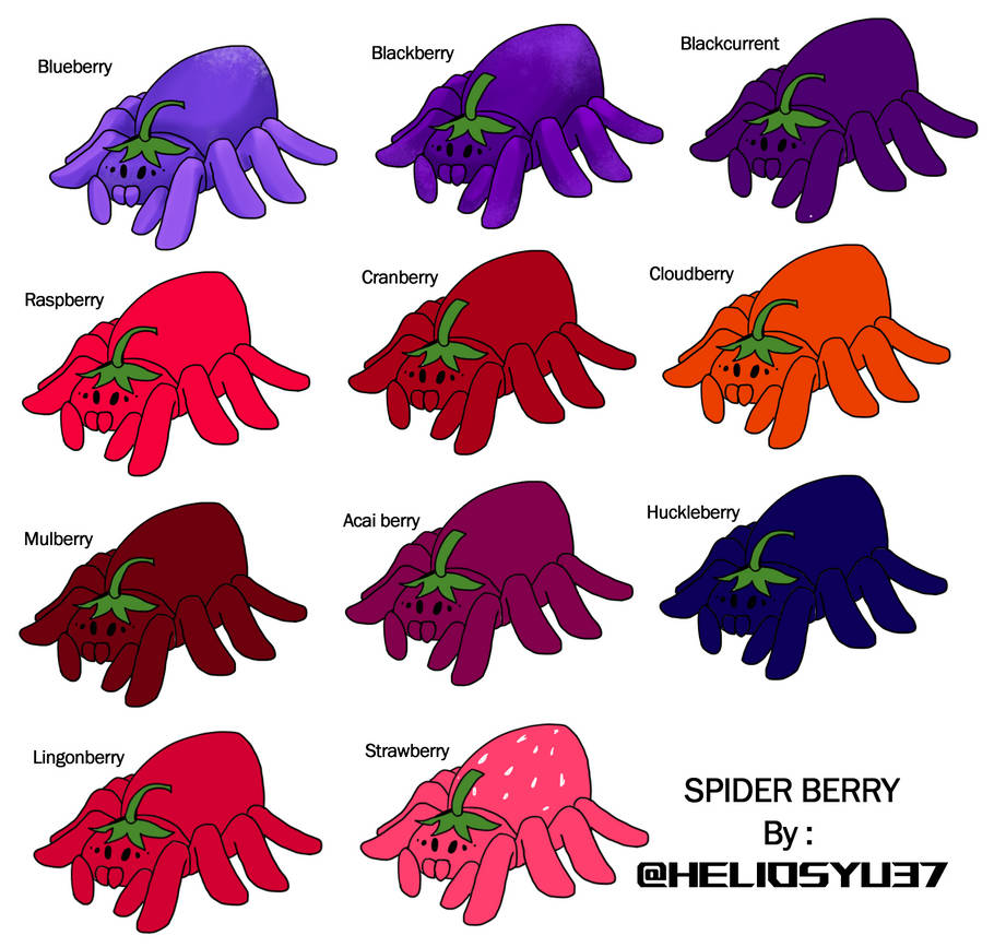 Spider Rasberry Spider species Spider-Berry by Helios67 on DeviantArt