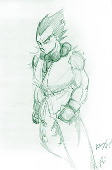 Vegeta - Akuma