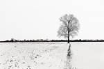Snow in my country by ddaga