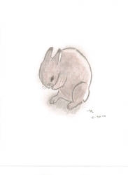 A bunneh i drew