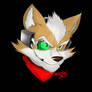 Fox McCloud, Star Fox  (Fan Art)