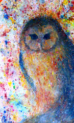 Cosmic Owl