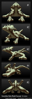 Camylidon Body Model Concept