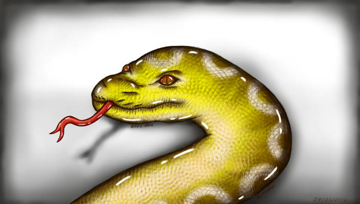 The Yellow Python