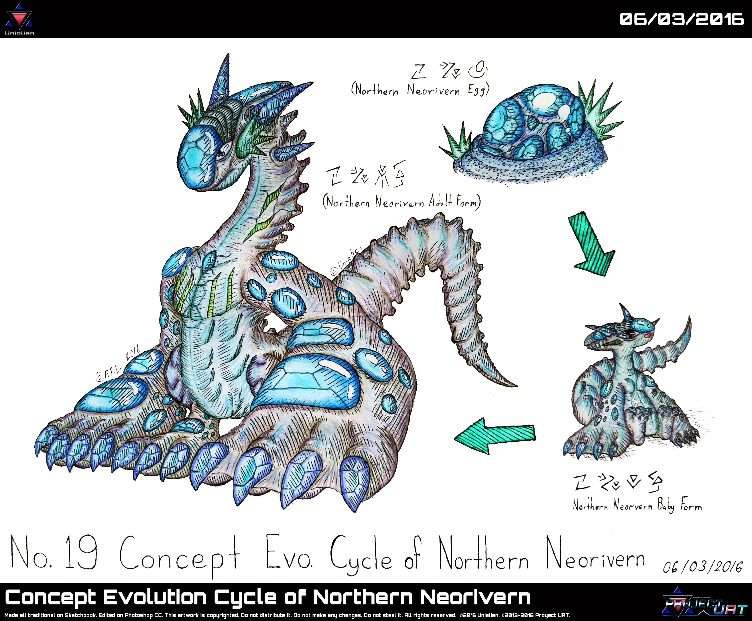 Concept Evolution Cycle of Northern Neorivern