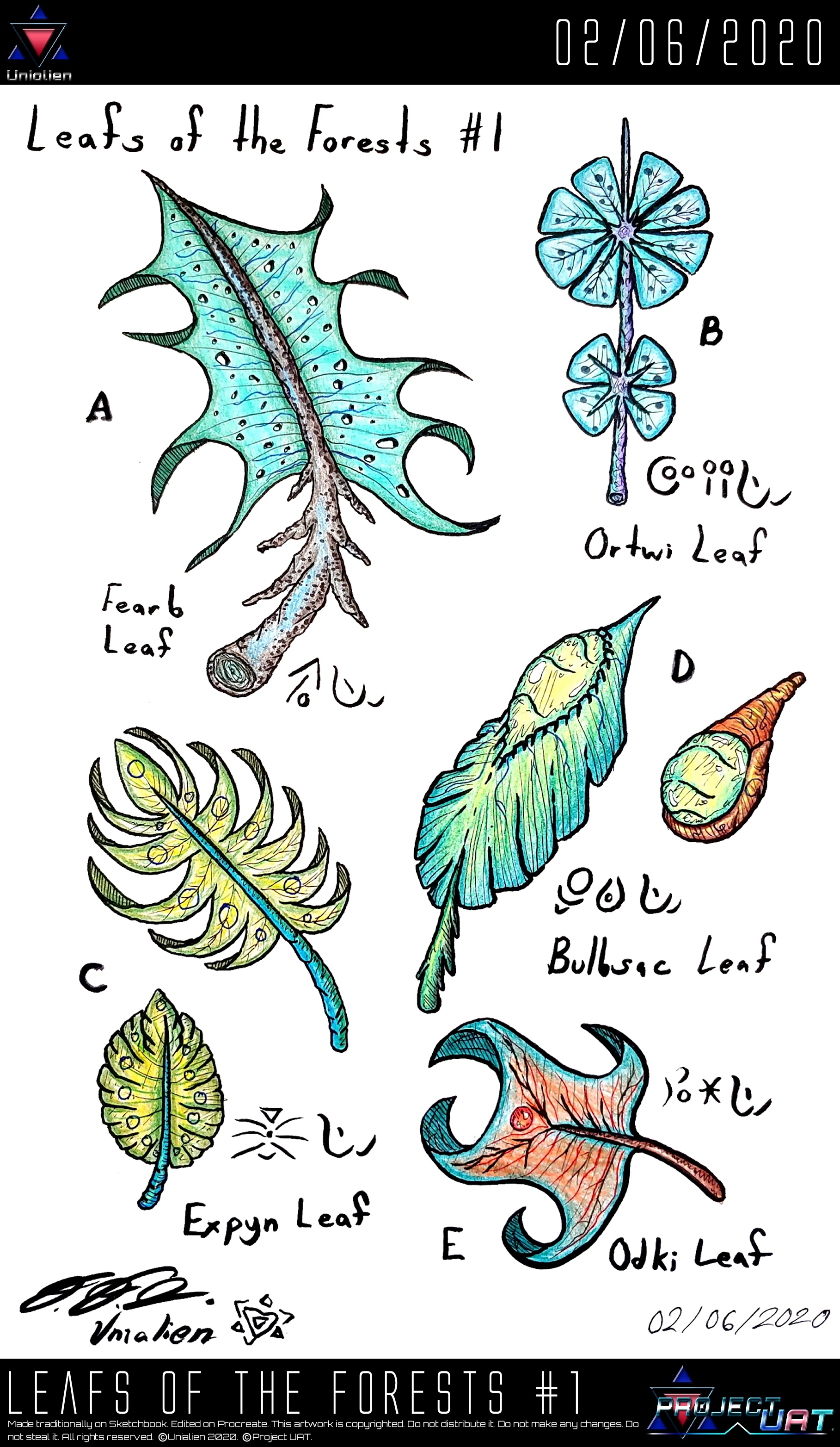 Leafs of the Forests 1