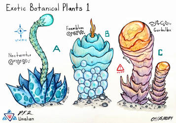 Exotic Botanical Plants 1