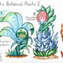 Exotic Botanical Plants II